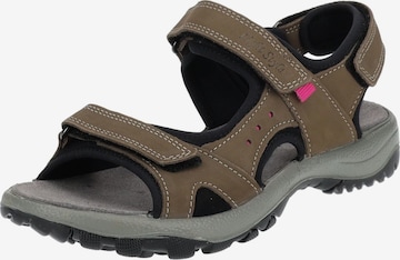 IMAC Hiking Sandals in Brown: front