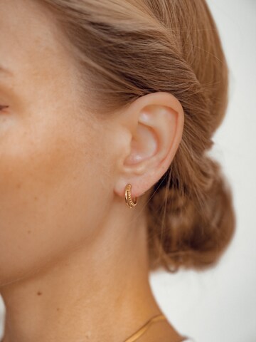 Hey Happiness Earrings 'Beaded Double' in Gold: front