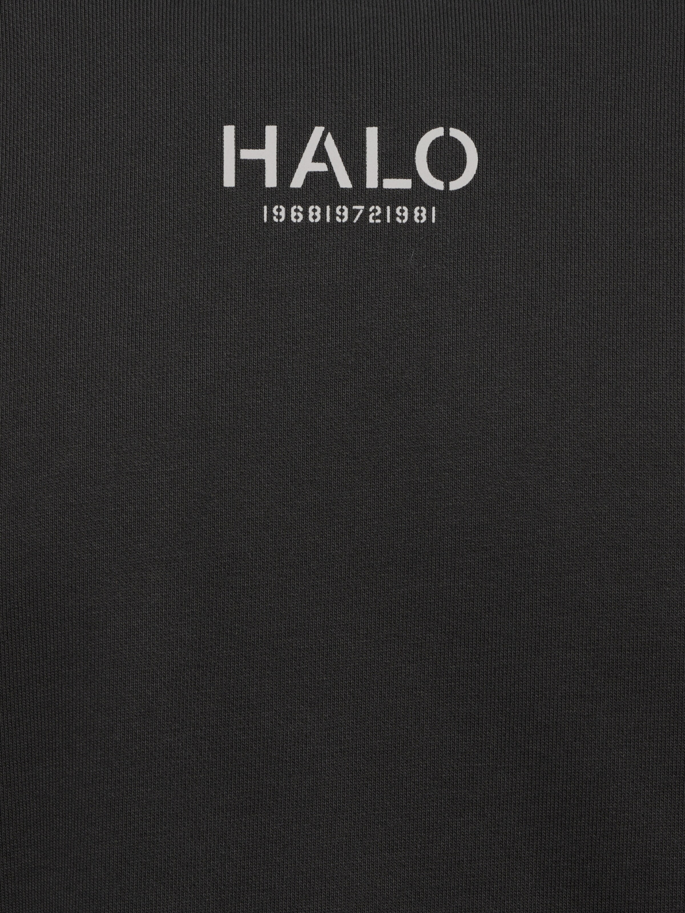 HALO Sweatshirt in Grau