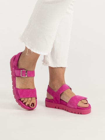 Sandalo di VITAFORM in rosa