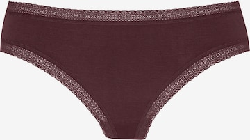 Mey Slip 'Modal Lace' in Braun: Vorderseite