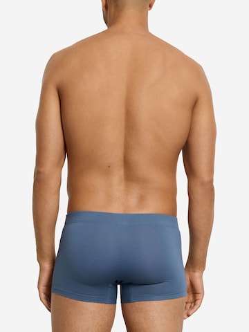 Hanro Boxershorts ' Cotton Essentials ' in Blauw