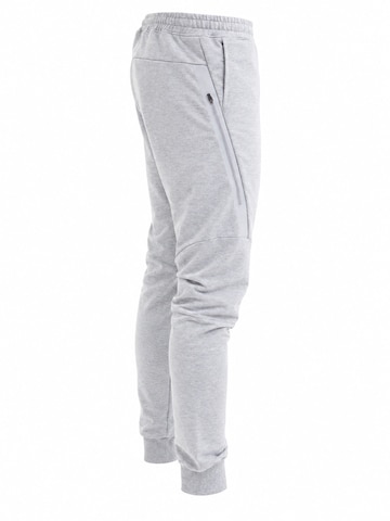 Pantaloni sport 'BARO' de la SCR. pe gri: față