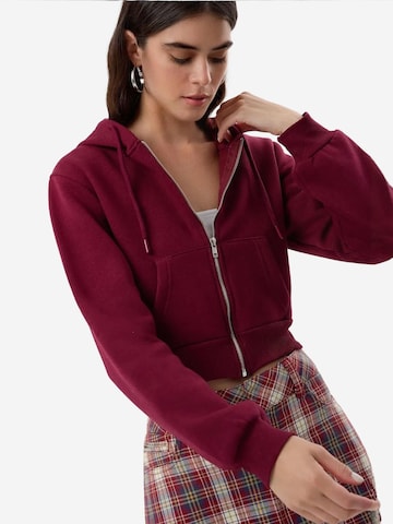 Hiccup Zip-Up Hoodie in Red