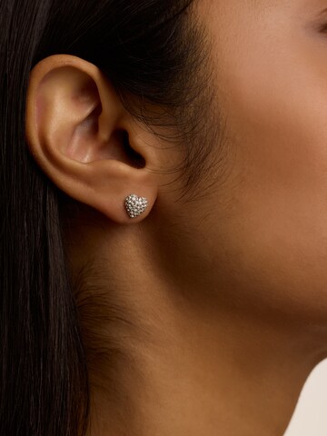 Ted Baker Earrings 'ADORAA' in Silver