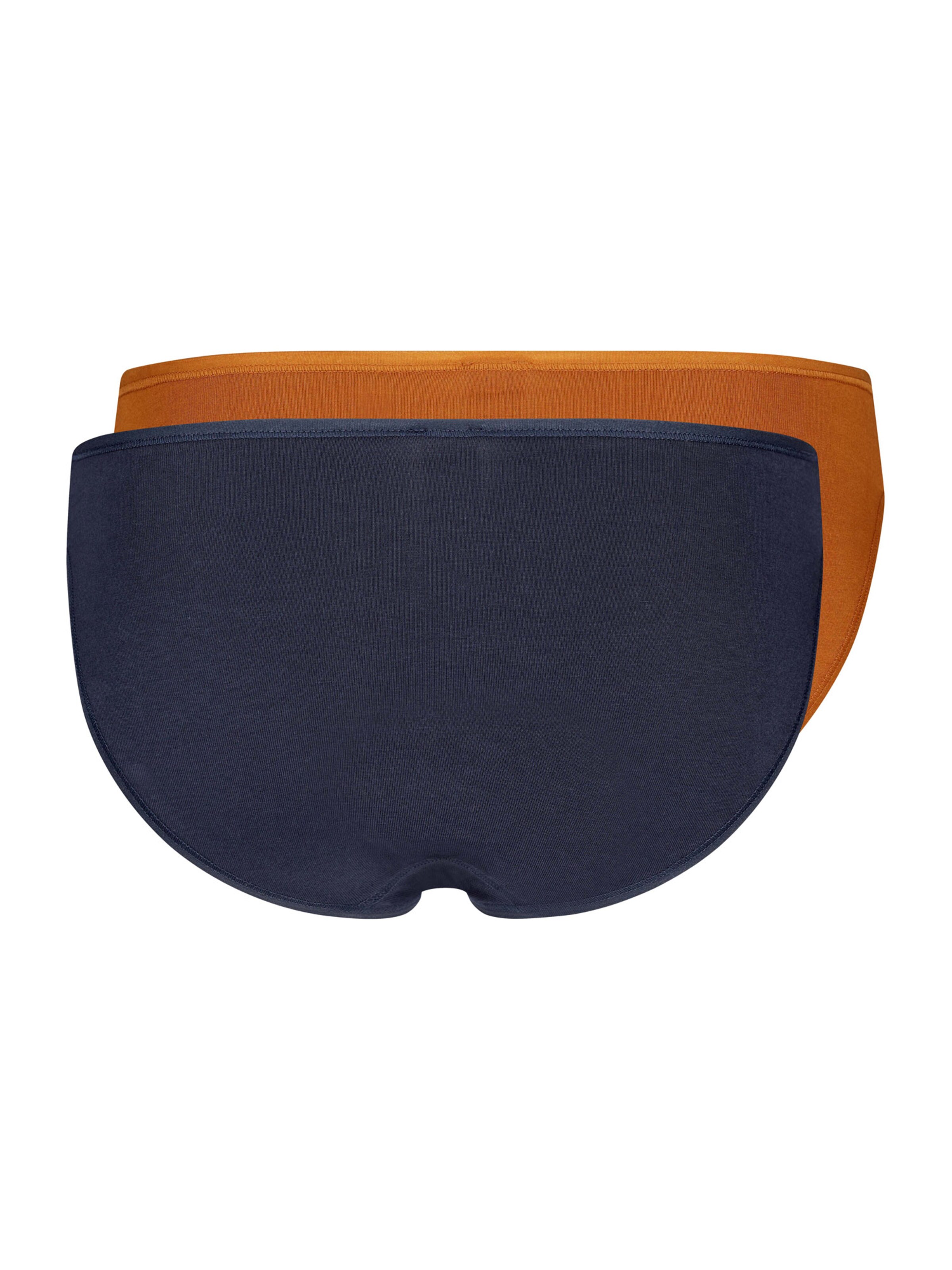 Skiny Regular Panty 'Advantage Cotton' in Blue