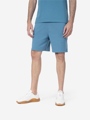 regular Pantaloni sportivi di 4F in blu: frontale