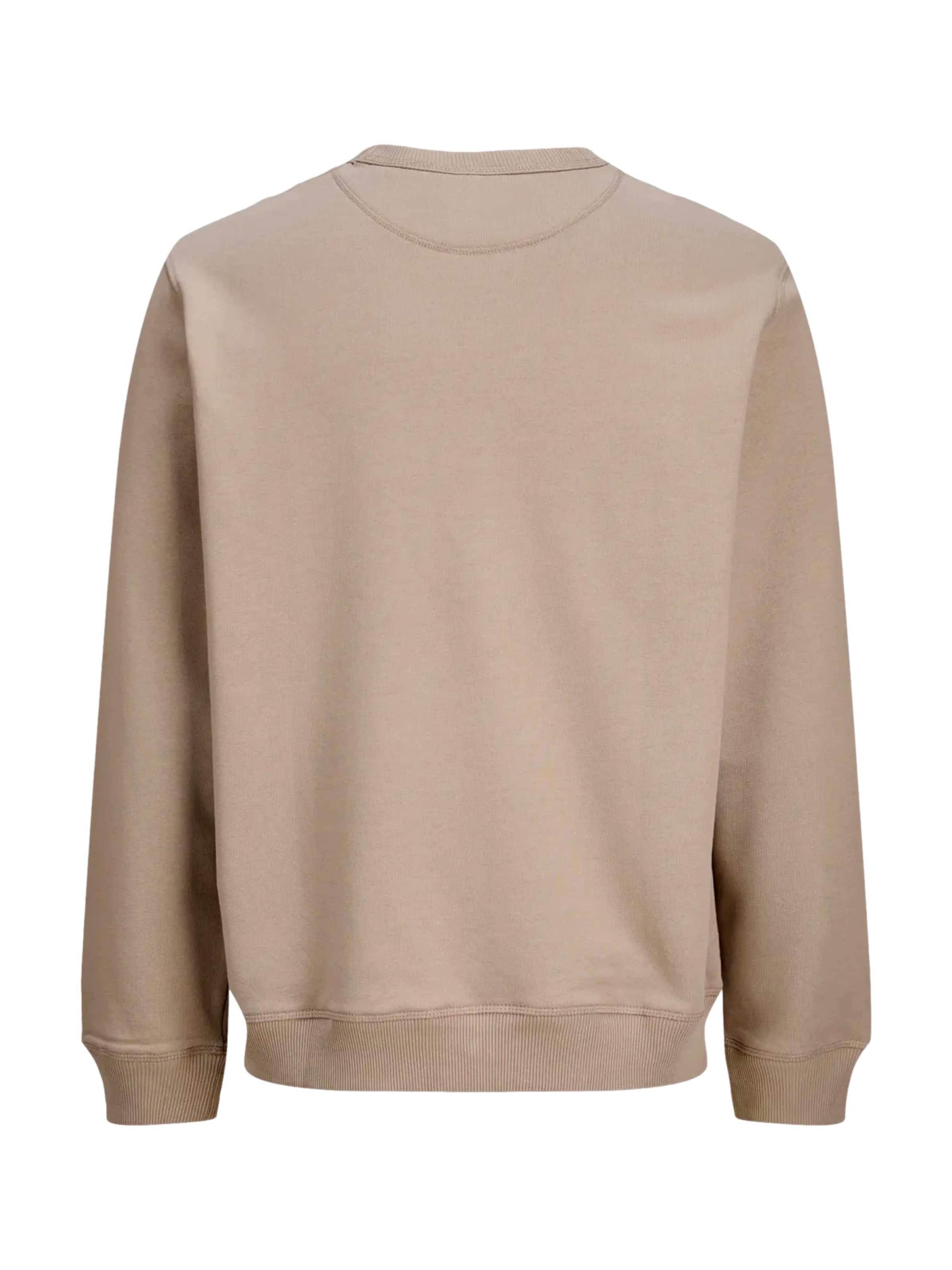 Jack & Jones Junior Sweatshirt 'Norrebro' i beige