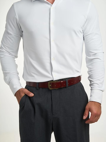 jolar Belt 'Stejaro Classic' in Brown: front