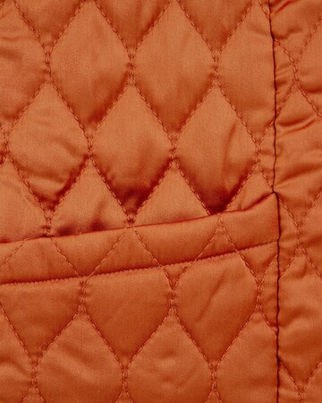 WE Fashion Väst 'Meisjes' i orange