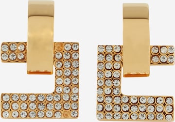 Elisabetta Franchi Earrings in Gold: front