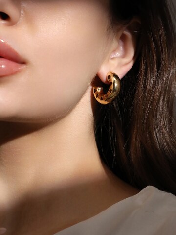 Boucles d'oreilles 'Tamela' SOHI en or