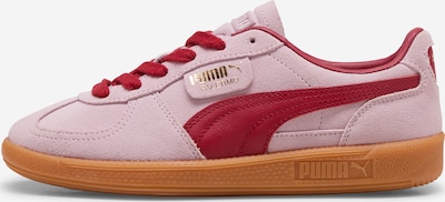 PUMA Trampki niskie 'Palermo' w kolorze złoty / różowy pudrowy / czerwonym, Podgląd produktu