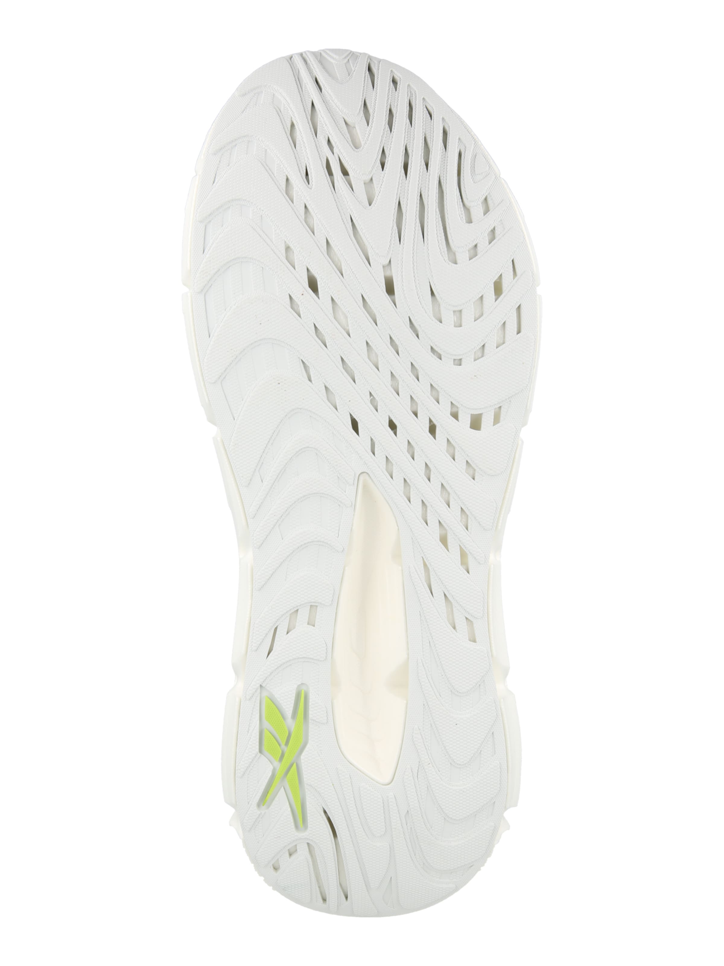 Chaussure de course 'FLOATZIG DOUBLE' Reebok en gris