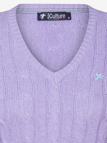 DENIM CULTURE - Pullover 'Perla' em roxo