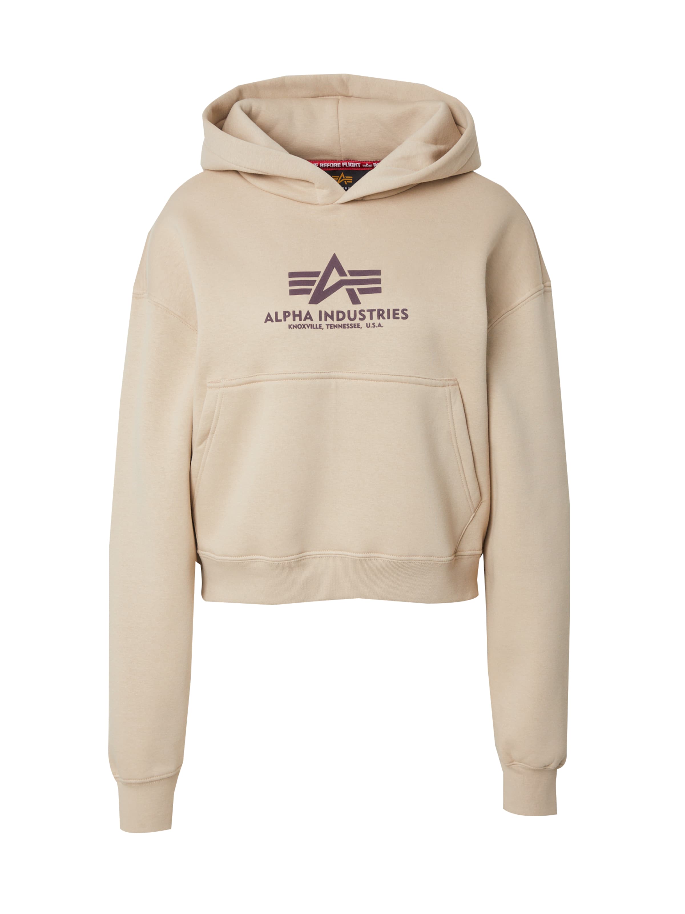 Sweat-shirt ALPHA INDUSTRIES en beige : devant