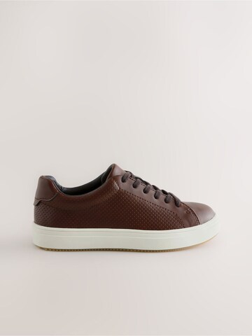 Next Sneakers in Bruin
