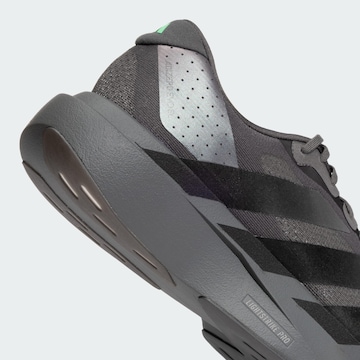 Scarpa da corsa 'Adizero Evo Sl' di ADIDAS PERFORMANCE in grigio