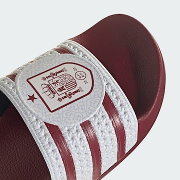 ADIDAS PERFORMANCE Strand-/badschoen in Rood