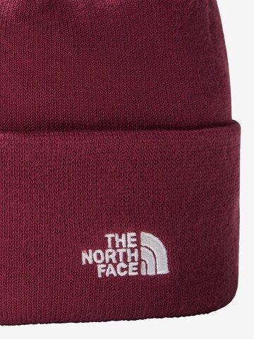 THE NORTH FACE Czapka 'NORM' w kolorze fioletowy