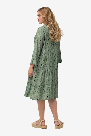 Ulla Popken Dress in Green