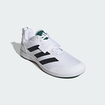 Chaussure de sport 'The Total Weightlifting' ADIDAS PERFORMANCE en blanc