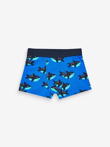 Sous-vêtements Next en mélange de couleurs