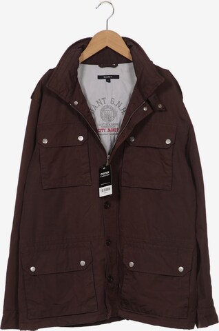 GANT Jacket & Coat in L in Brown: front
