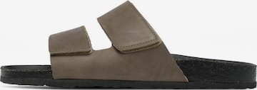 Bianco Mules 'CEDAR' in Beige: front