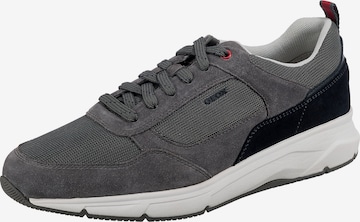 GEOX Sneakers 'Radente' in Grey: front