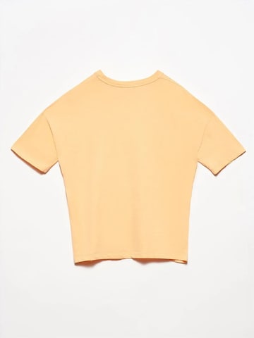 Dilvin Shirt 'T-Shirts' in Orange