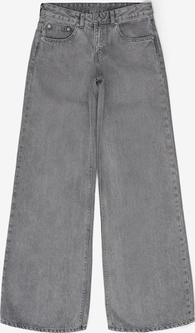 Dr. Denim Jeans 'Rhue Low Wide' in Grey: front
