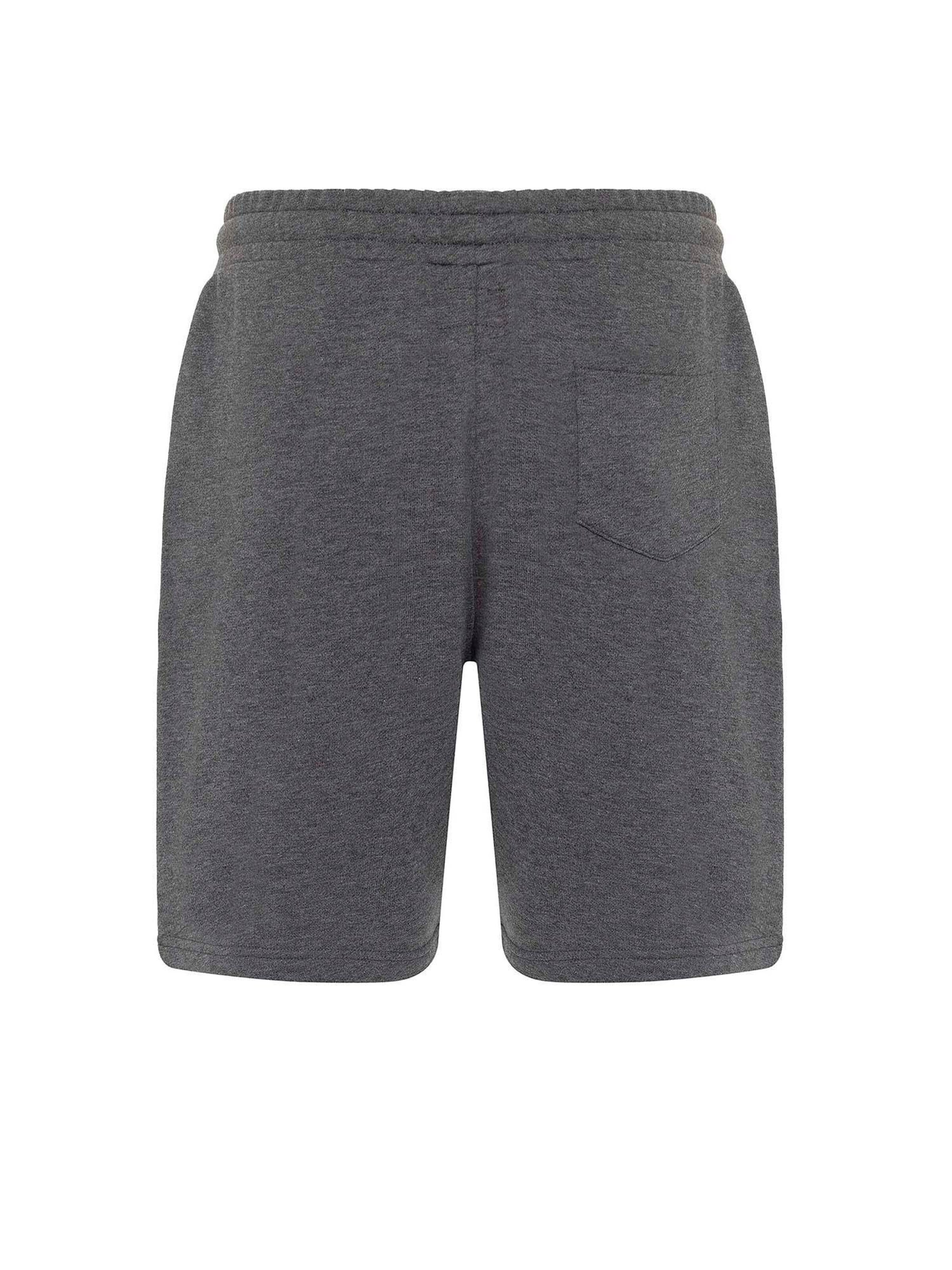 Williot Regular Moreno in Grau