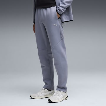 PUMA Regular Workout Pants 'Evostripe' in Grey: front