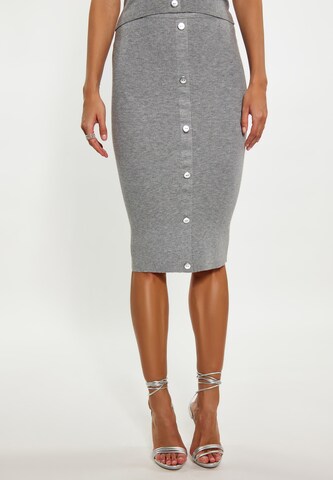 faina Skirt in Grey: front