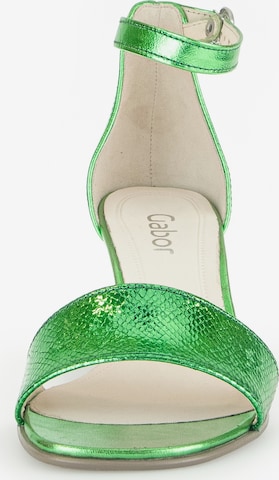 Sandalo con cinturino di GABOR in verde