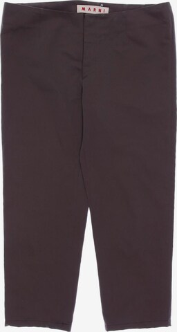 Marni Pants in XL in Brown: front
