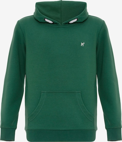 Williot Collegepaita värissä vihreä / valkoinen, Tuotenäkymä