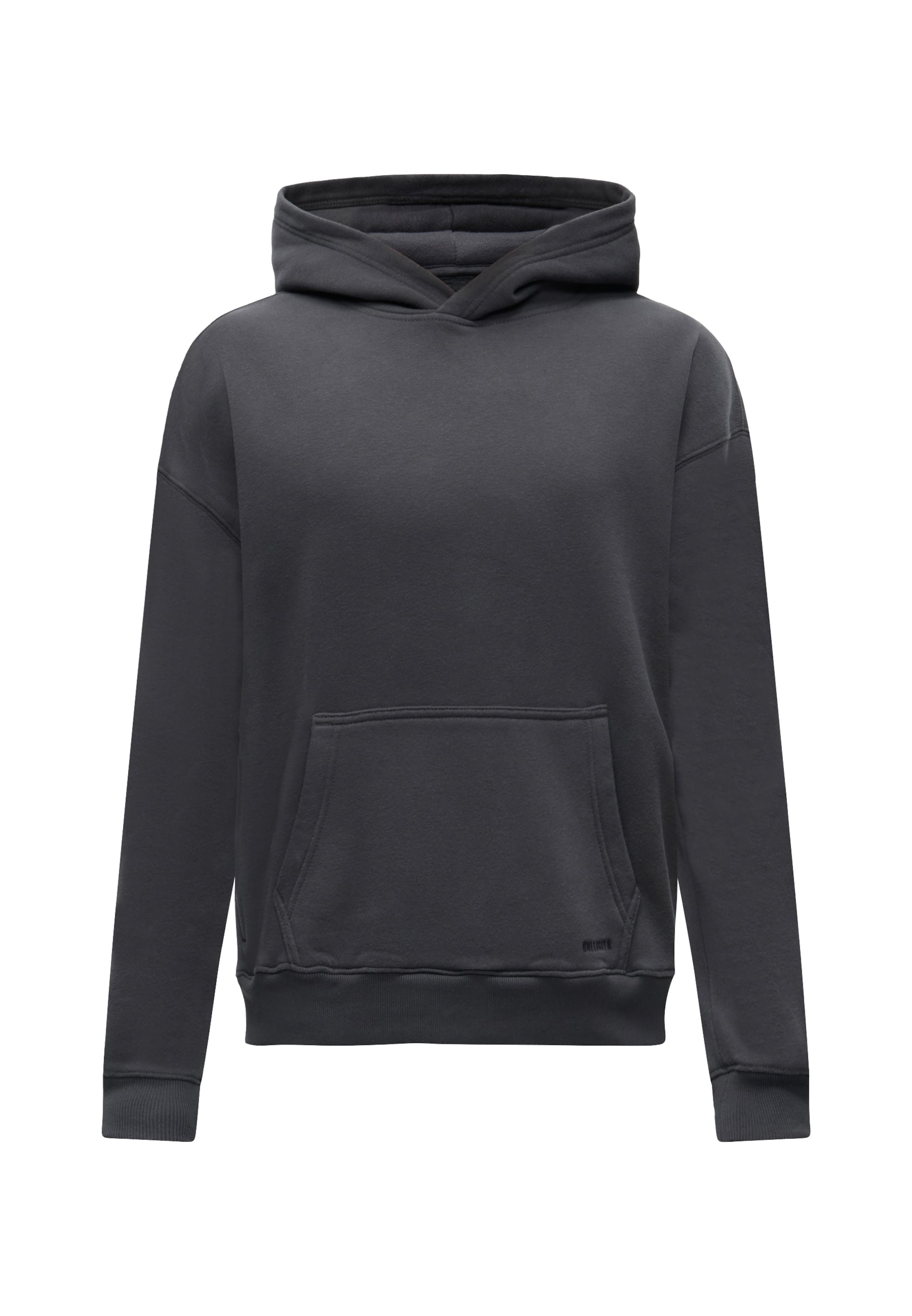 HOLLISTER Sweatshirt i XS i grafit, Produktvisning