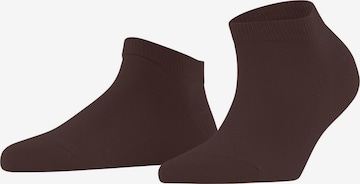 FALKE Ankle Socks 'Family' in Brown: front