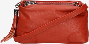 Gave Lux Clutch in Orange: predná strana