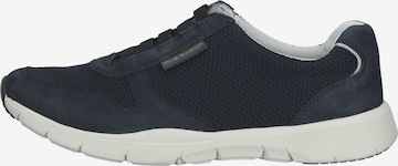 Pius Gabor Sneakers laag in Blauw