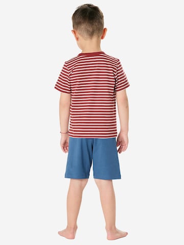 SCHIESSER Pajamas ' Kids Nightwear ' in Blue