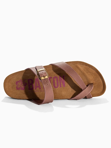 Bayton Japonke 'DIANE' | rjava barva