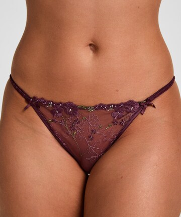 Hunkemöller String in Purple
