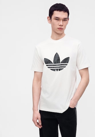ADIDAS ORIGINALS Μπλουζάκι σε λευκό