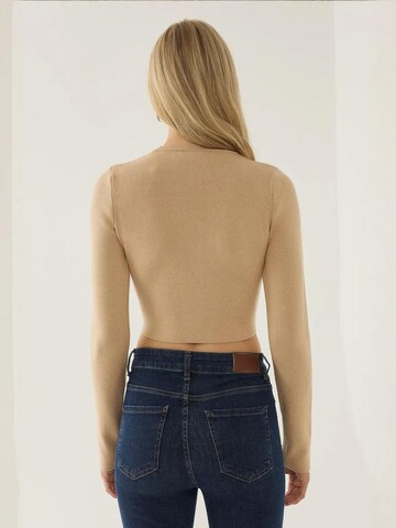 Hiccup Trui in Beige