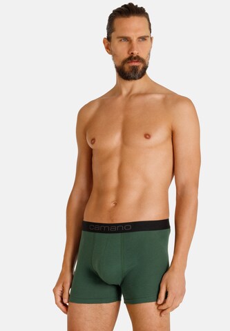 camano Boxershorts in Grün: predná strana