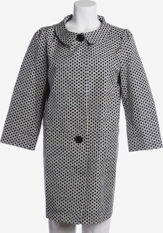 Herno Jacket & Coat in XL in Blue: front