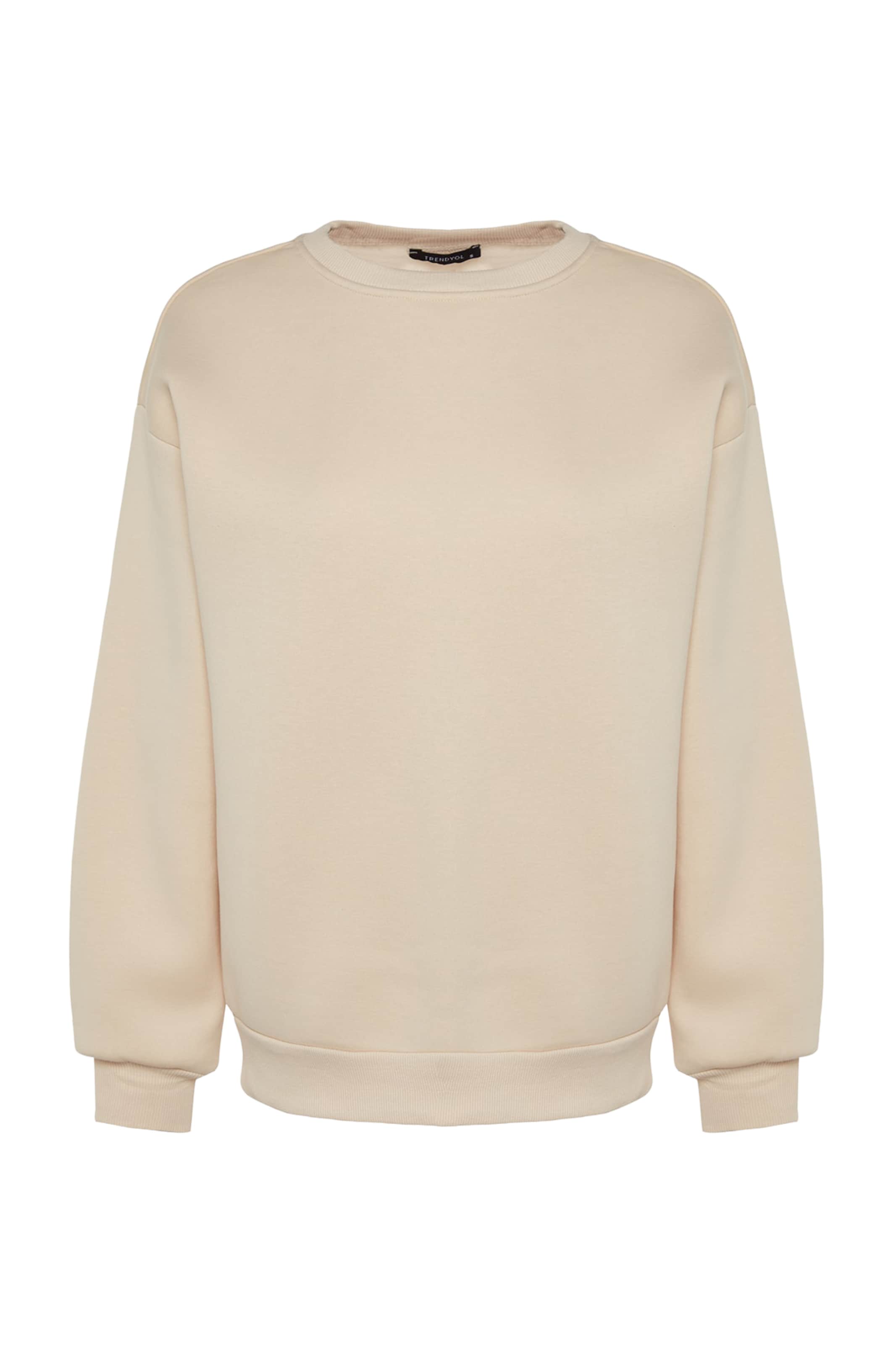 Trendyol Sweatshirt in Grey: front
